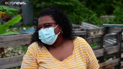 Εισβολή γουρουνιών προκαλεί κατάσταση έκτακτης ανάγκης στο Πουέρτο Ρίκο