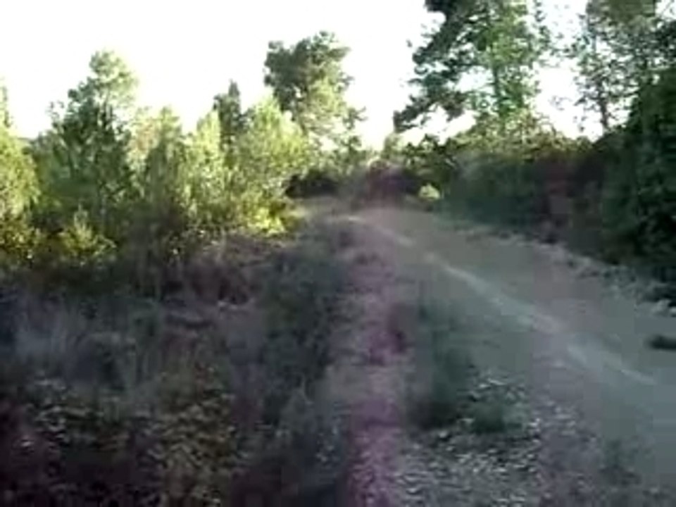 Ptit Saut GasGas 125 EC 2007