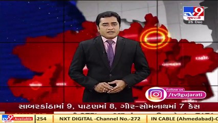 Lion spotted in residential area of Chorwad, Junagadh TV9News