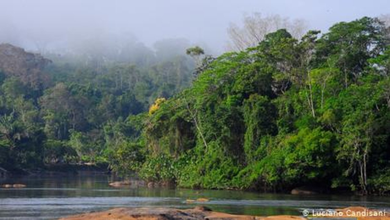 Reisen durch den Amazonas-Regenwald