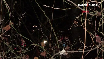 Kayıp olarak aranıyordu, öldürüldüğü ortaya çıktı!
