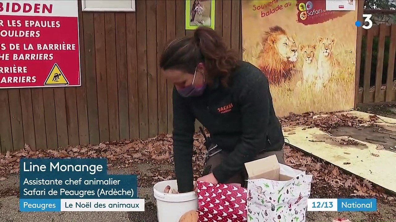 Animaux : le repas de Noël servi aux carnivores du parc animalier de Peaugres