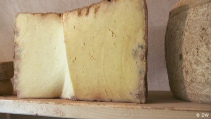 The master of ceremonies of cheese