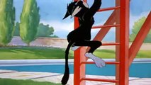 tom and jerry / توم  و جيري