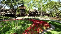 Michael Jackson's Neverland Ranch sold for knockdown price