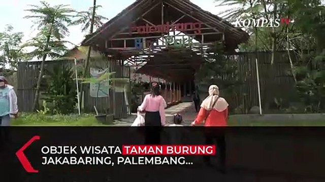 Wisata Sambil Belajar di Taman Burung Jakabaring Palembang