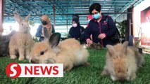 Ipoh’s first petting zoo opens partially