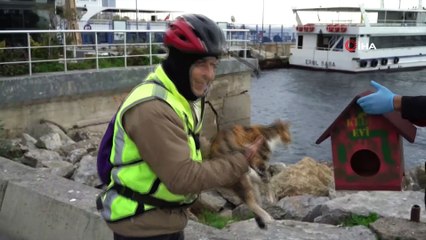 Kartal Belediyesi’nden patili dostlara sıcak yuva