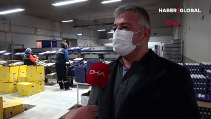 Yumurtada fahiş fiyatın nedeni ne?