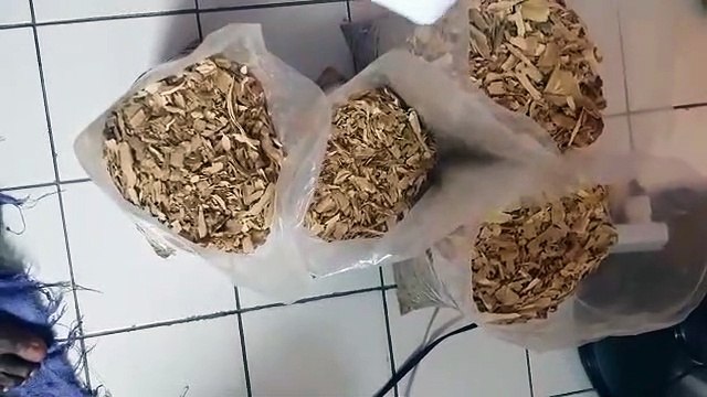 Ibogasales have Ibogaine hcl, iboga TA, iboga capsules, and dried iboga root barks for sale