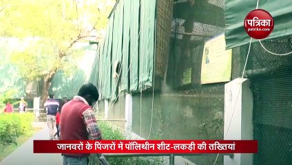 सर्दी के सितम के बीच चिड़ियाघर में जानवरों का कैसे रखा जा रहा ख्याल
