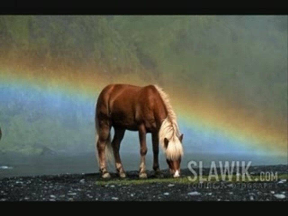 Magique horse