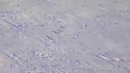 El coronavirus llega hasta la Antártida después de blindarse durante meses