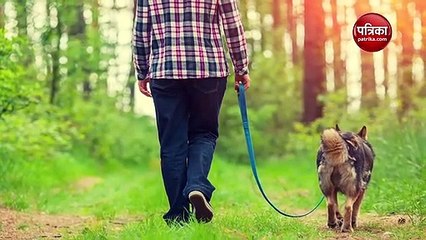 खुद की ऑडी में घूमता है ये डॉगी, पहनता है लाखों के कपड़े