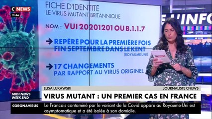 Coronavirus : un premier cas détecté en France du variant britannique (vidéo)