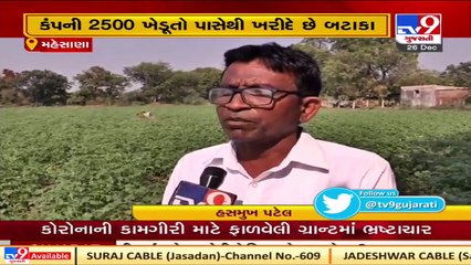 More than 2500 farmers of north Gujarat have doubled their income opting contract farming    TV9News