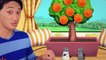 Blue's Clues & You! S01E10 - Growing with Blue