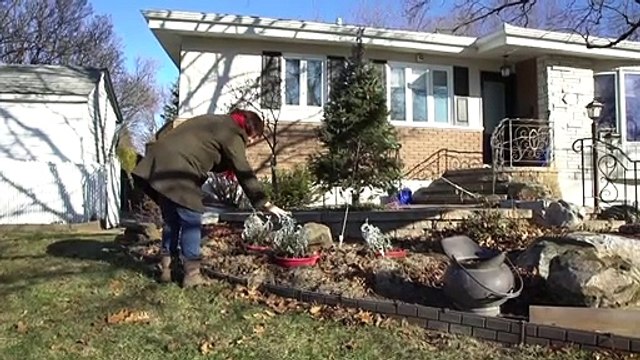 كنديون يهربون من البرد مصممون على تمضية الشتاء في فلوريدا رغم الجائحة