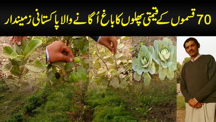 70 Types Ke Qeemti Phalon Ka Bagh Uganay Wala Pakistani Zamindar