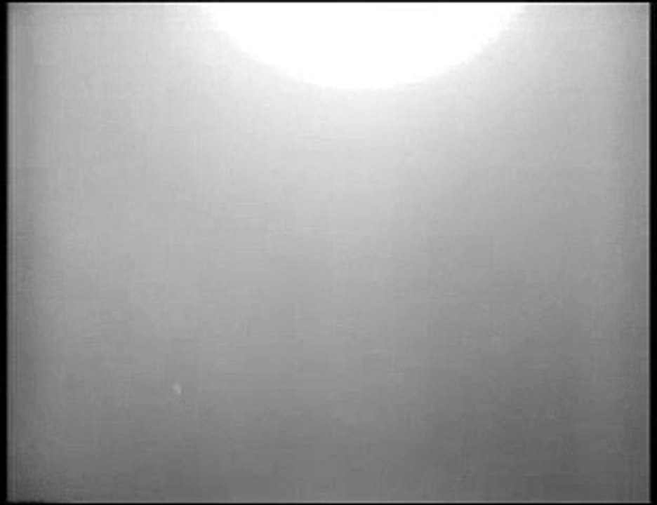 DM Blasphemous Rumors