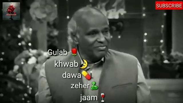 Rahat Indori best Shayari | Heart touching | Daily Dose Shayari ||