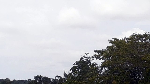 Airbus A330 PR-AIU na final antes de pousar em Manaus vindo de Campinas