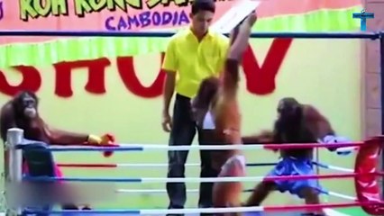 Top 20 Incredible Moments You Wouldn't Believe If They Weren't Recorded