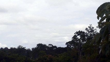 Embraer 195 PR-AUF on final approach before to land in Manaus coming from Santarém