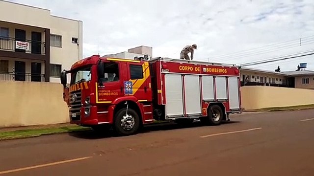 Corpo de Bombeiros faz captura de cobra no Bairro Santo Inácio