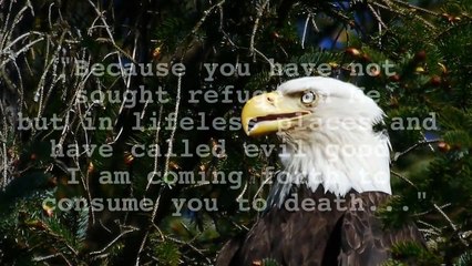 Things God Told Me To Say | Get Out Or Be Consumed