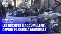 Pourquoi les poubelles s'accumulent dans certains quartiers de Marseille depuis 14 jours