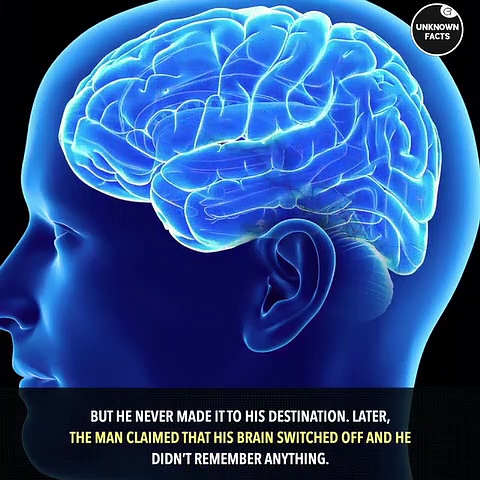 Documentary Unknown Facts