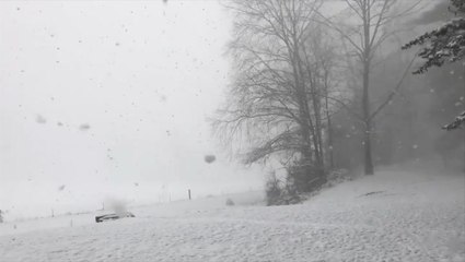 Snow squall hits Kentucky
