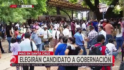 El MAS definirá sí Romero, García o Cronenbold es su candidato a la Gobernación