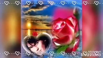 NINO - DONESI DIVLJE MIRISE - Autor videa  * Milena Mesić*