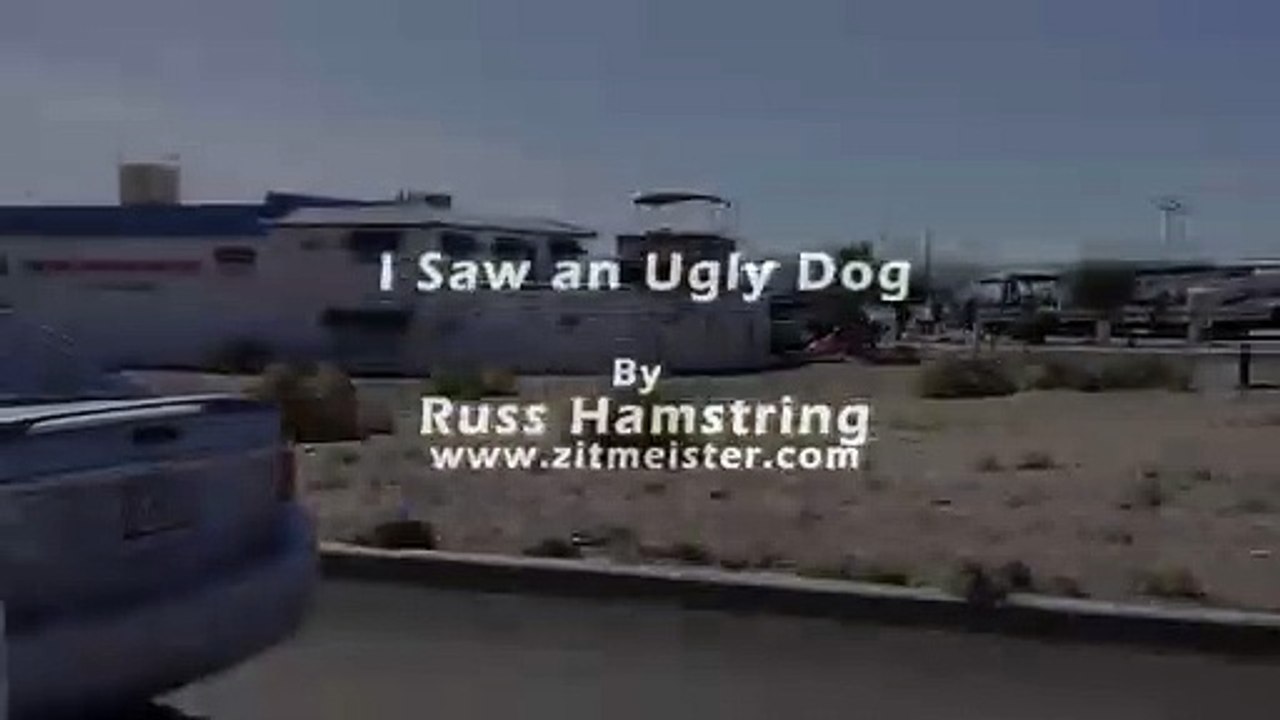 I Saw an Ugly Dog.
