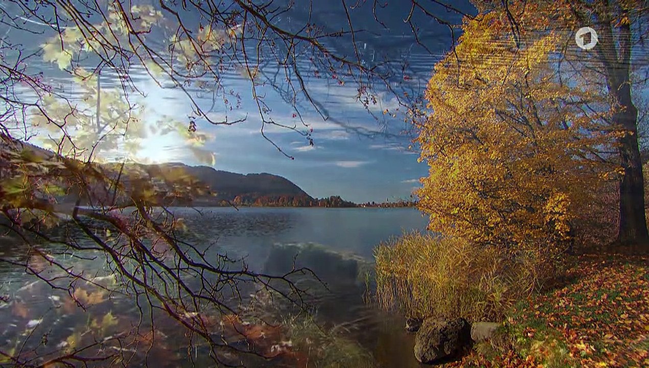 Sturm der Liebe Folge 3517 Ein blaues Auge