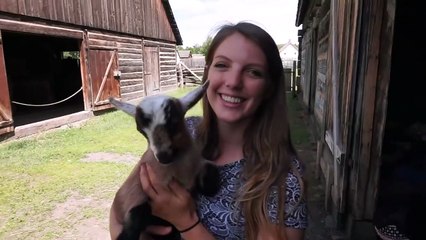 Super Cheap Road Trip Setup! _ Budget Travel