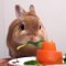Cute rabbit eating foods - nature is amazing - viral videos
