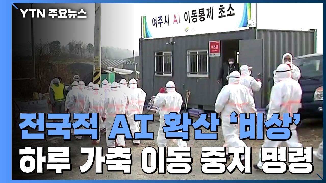 전국적 AI 발생...오늘 하루 전국 가축 일시 이동중지 / YTN