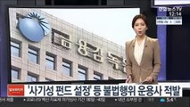 '사기성 펀드 설정' 등 불법행위 운용사 적발