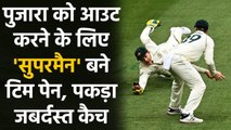 Ind vs Aus 2nd Test: Tim Paine takes brilliant catch to send Cheteshwar Pujara | Oneindia Sports