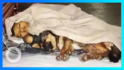 男童與狗流浪街頭 靠洗杯子自立自強