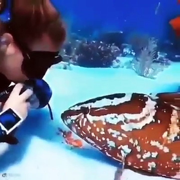Fisch