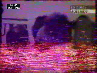 564 F1 16 GP Australie 1994 p3