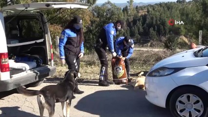 Adana polisi kısıtlamada sokak köpeklerini unutmadı