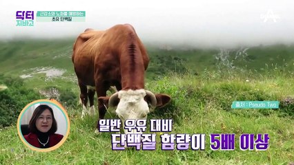 노화 예방을 위해 장가현이 택한 초유 단백질