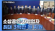 1월에 소상공인·자영업자 최대 3백만 원 지원 / YTN