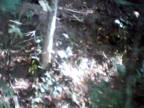 god rest ye merry gentlemen c