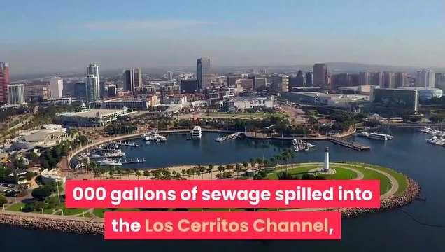 Long Beach closes beaches after 50000 gallons of sewage spill into Los